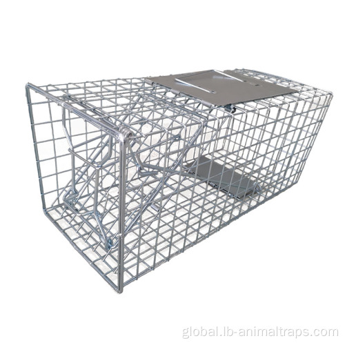 Squirrel Trap Cage Humane Rodent Cage Foldable humane bird trap cage Supplier